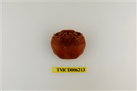 藏品(白紋方蟹)的圖片